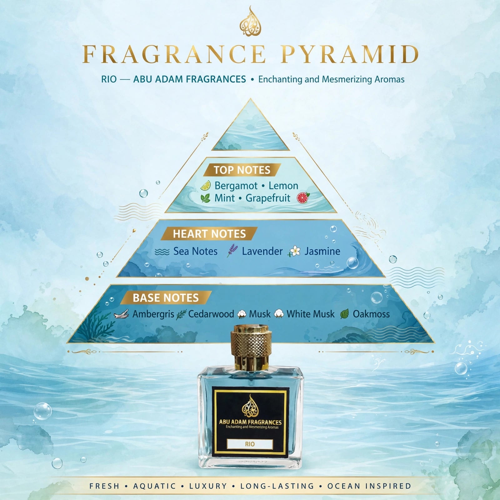 RIO- 50 ML EDP (PERFUME) BY ABU ADAM